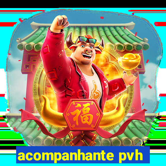 acompanhante pvh